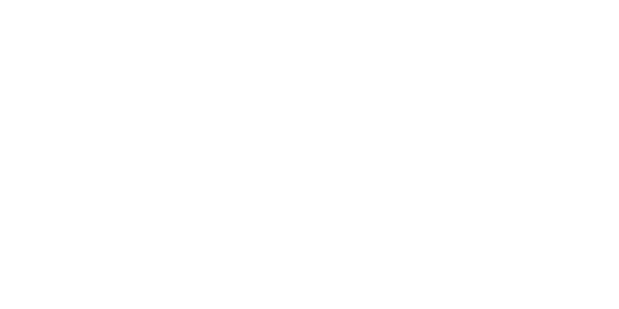1VDS