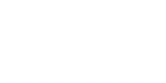 Finsight